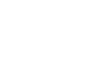https://hnsenergygroup.com/wp-content/uploads/2021/08/Pinnacle365_logo_L-WHITE-300x232.png?_t=1629150865